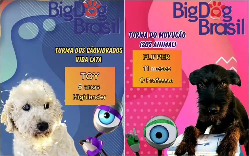 Vira e Mexe Viralata