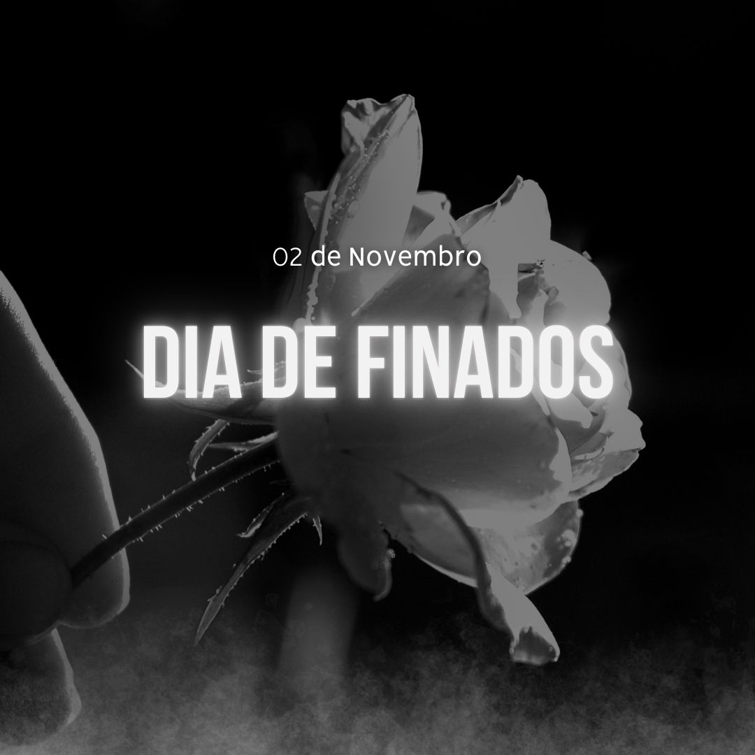 12 ideias de Post Instagram Dia de Finados Posts Dia de Finados