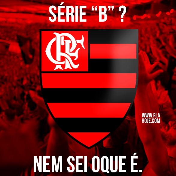 10 curiosidades sobre o Flamengo que todo torcedor deveria saber O flamengo Nunca foi rebaixado para a série B