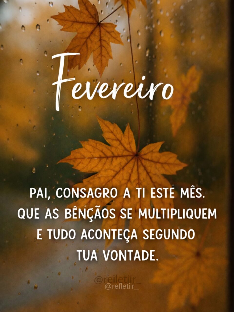 Bem-Vindo Fevereiro: 12 frases para começar bem o mês Frase Fevereiro Mensagem 3