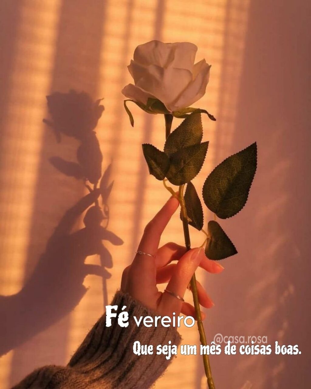 Fevereiro: 12 ideias de mensagens e frases para Instagram e WhatsApp Mês Fevereiro Mensagem