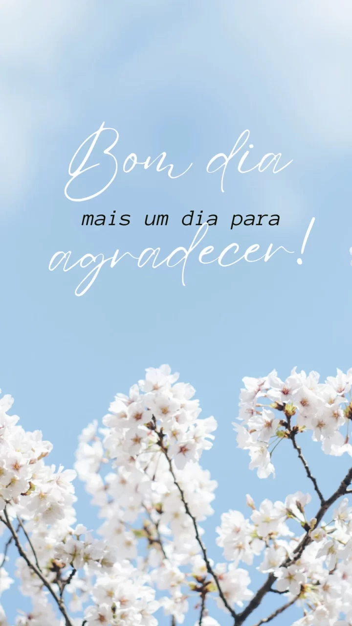 12 Story Bom Dia Gratidão para começar o dia com positividade Story Bom Dia Gratidão