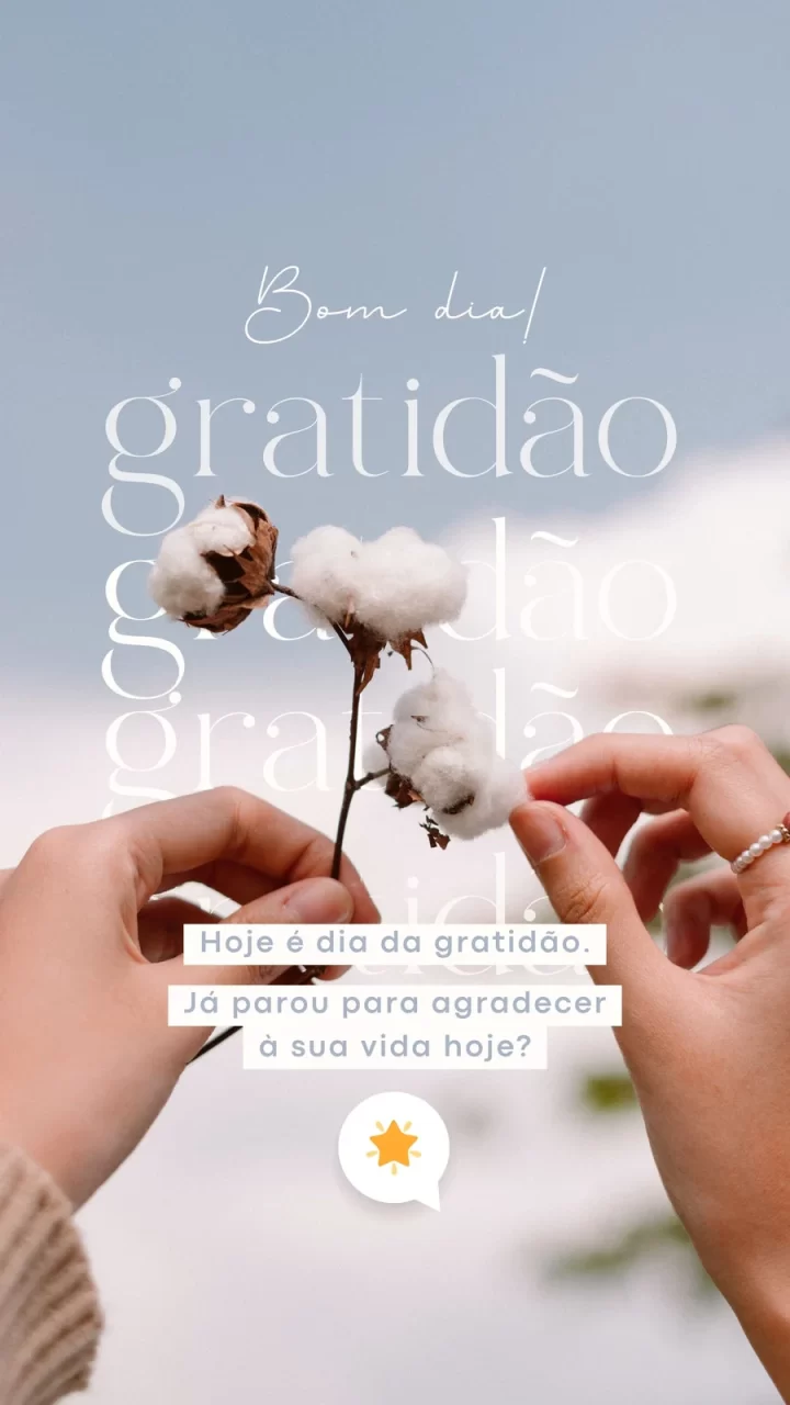 12 Story Bom Dia Gratidão para começar o dia com positividade Story Bom Dia Gratidão