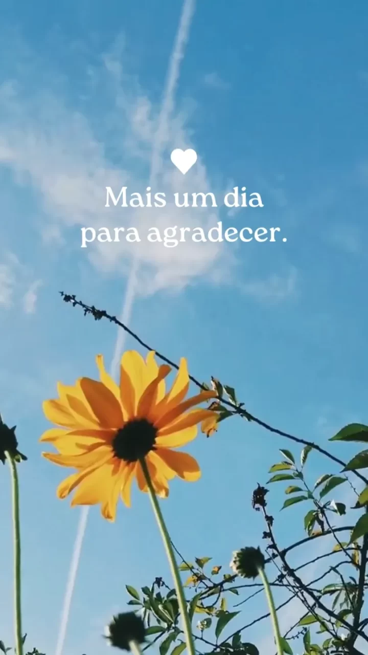 Story Bom Dia: 12 ideias para postar no Instagram e WhatsApp Story Bom Dia Instagram WhatsApp
