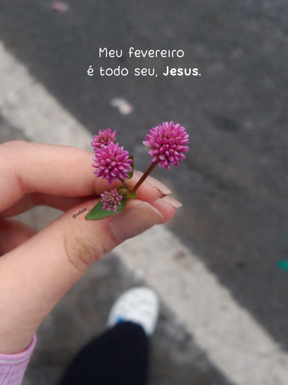 Fevereiro: 12 ideias de mensagens para Instagram e WhatsApp mensagem fevereiro frase